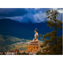 pexels-soonamwooeser-15275546