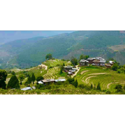 screenshot_2024-08-09_120126